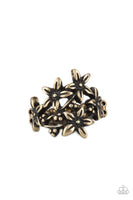Paparazzi Prairie Primrose - Ring Brass Box 32
