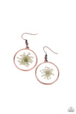 Paparazzi Happily Ever Eden - Earrings Copper Box 95