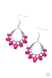 Paparazzi Flamboyant Ferocity - Earrings Pink Box 118